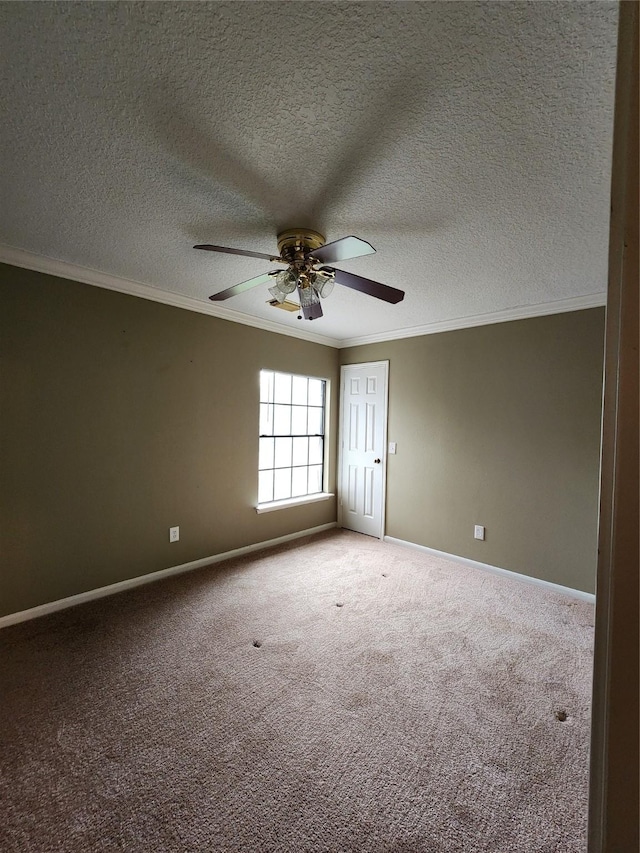 13002 Timberland Trce, Houston, TX 77065 - photo 25