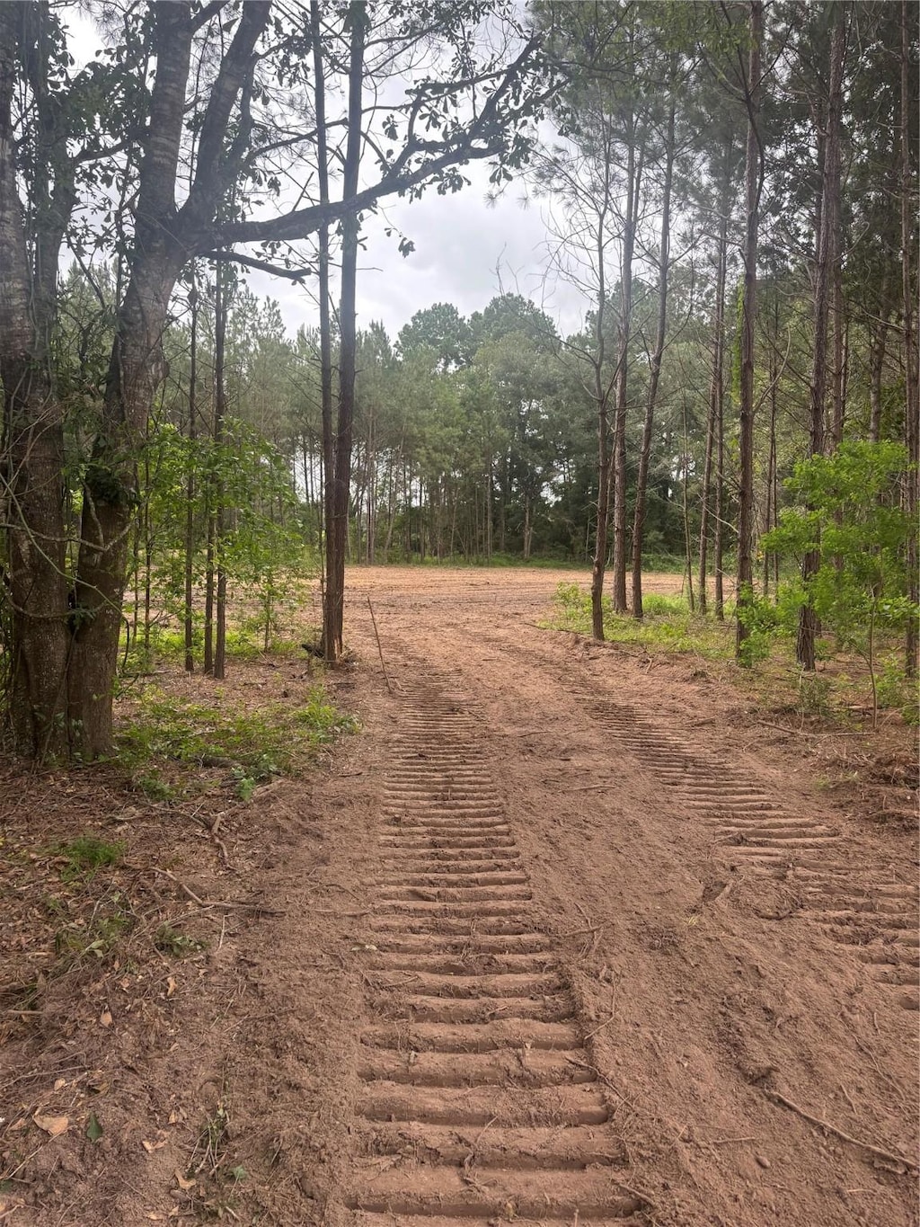 TBD County Road 3015, Dayton, TX 77535 - photo 1