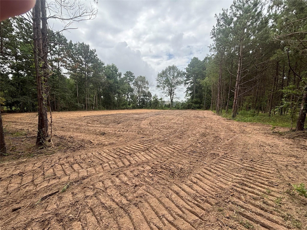 TBD County Road 3015, Dayton, TX 77535 - photo 2