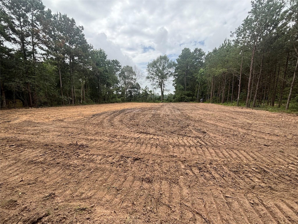 TBD County Road 3015, Dayton, TX 77535 - photo 3