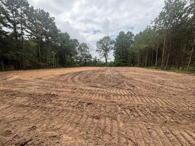 TBD County Road 3015, Dayton, TX 77535 - photo 3