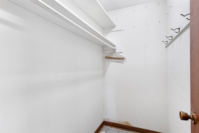7202 Pinetex Dr, Houston, TX 77396 - view of spacious closet