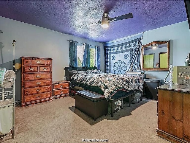 924 Navidad St, Bryan, TX 77801 - photo 12