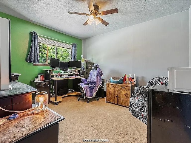 924 Navidad St, Bryan, TX 77801 - photo 15
