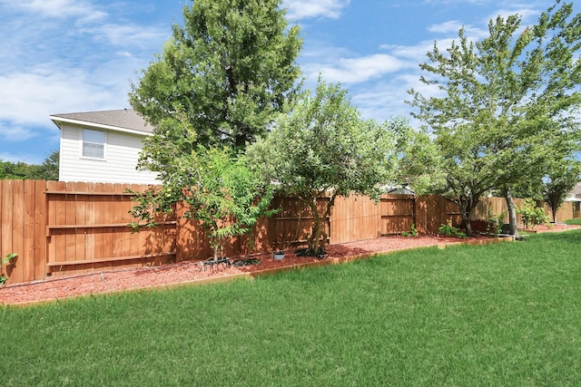 6803 Chapelfield Ln, Houston, TX 77049 - view of fenced backyard