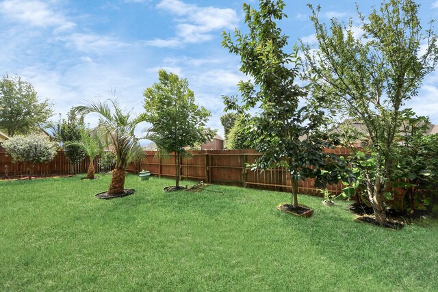 6803 Chapelfield Ln, Houston, TX 77049 - view of fenced backyard