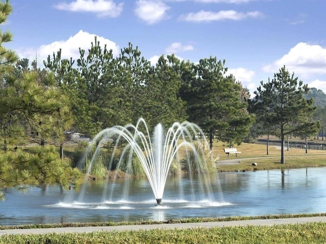 1939 Heather Canyon Dr, Pearland, TX 77089 - water view