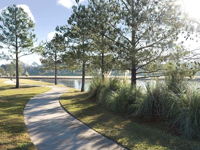 1939 Heather Canyon Dr, Pearland, TX 77089 - surrounding community with a water view and a yard