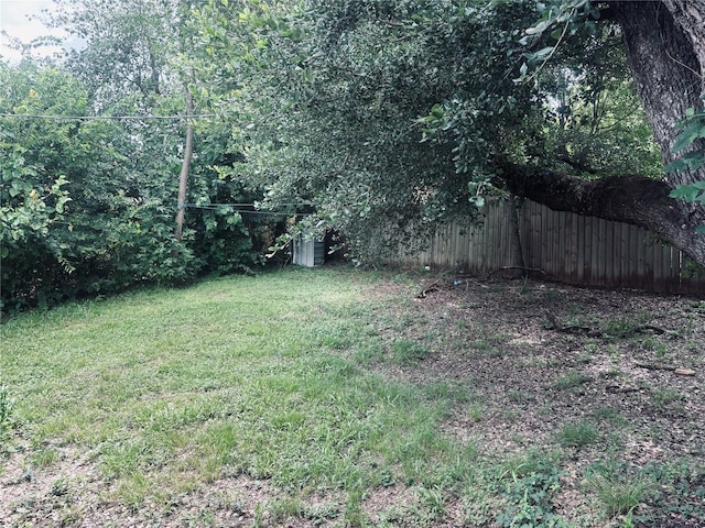 7350 Hurtgen Forest Rd, Houston, TX 77033 - view of green lawn