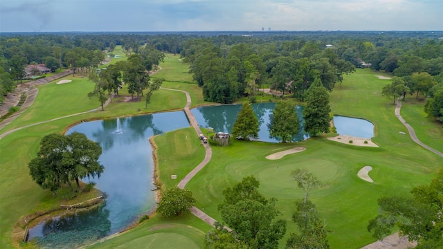 711 Stonewall Jackson Ct, Conroe, TX 77302 - photo 41