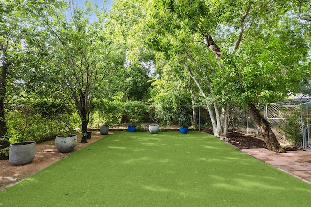 6532 Community Dr, West University Place, TX 77005 - view of yard with a putting green