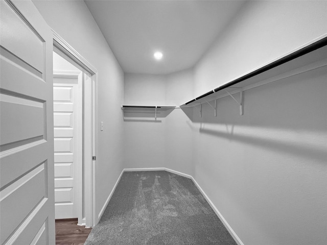 10253 Badger Run Ln, Magnolia, TX 77354 - photo 15