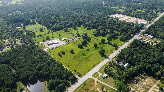 20800 Fm 1774, Plantersville, TX 77363 - photo 2