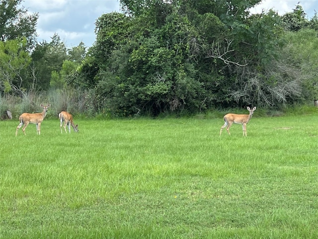 2468 Sierra Rd, Brenham, TX 77833