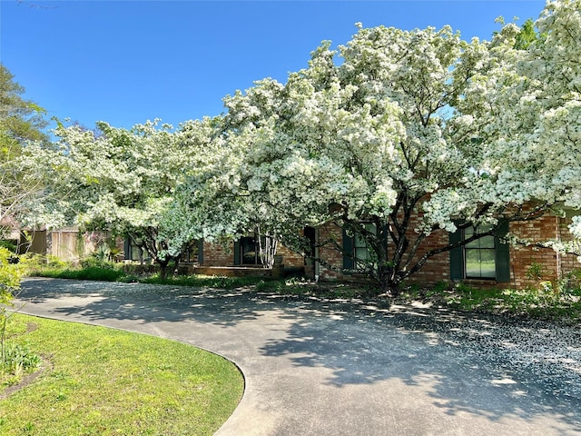 6325 Gladys Ave, Beaumont, TX 77706 - photo 1
