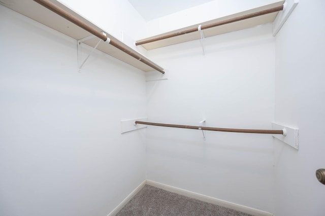 510 Shenandoah Dr, Shenandoah, TX 77381 - spacious closet featuring carpet