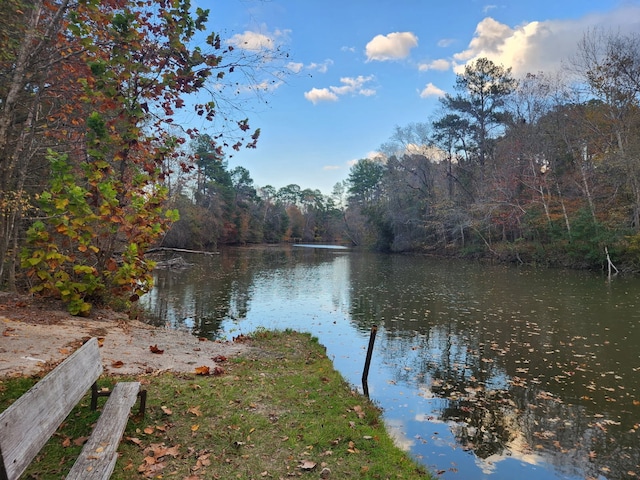 763 Timberline Dr, Onalaska, TX 77360 - water view with a heavily wooded area