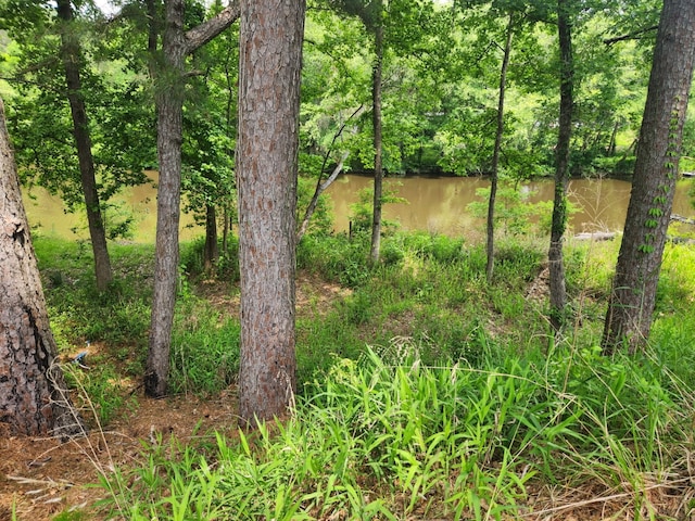 763 Timberline Dr, Onalaska, TX 77360 - view of tree filled area with a water view