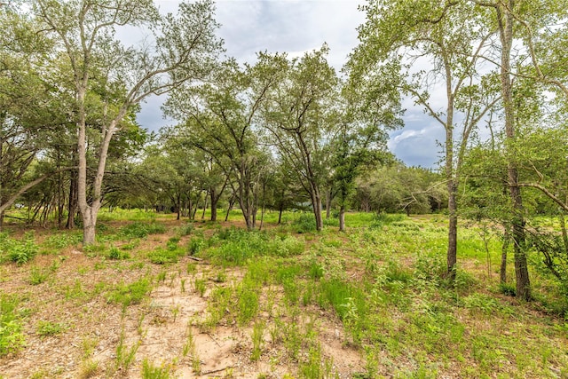 0 Abel Rd, New Ulm, TX 78950 - photo 1