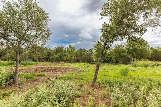 0 Abel Rd, New Ulm, TX 78950 - photo 2