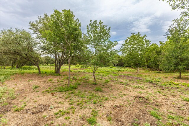 0 Abel Rd, New Ulm, TX 78950 - photo 3