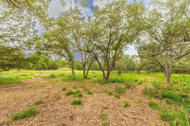 0 Abel Rd, New Ulm, TX 78950 - photo 4