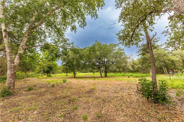 0 Abel Rd, New Ulm, TX 78950 - photo 5