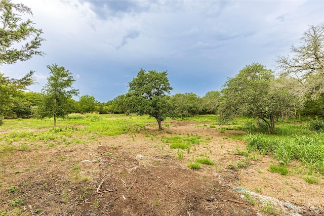 0 Abel Rd, New Ulm, TX 78950 - photo 6