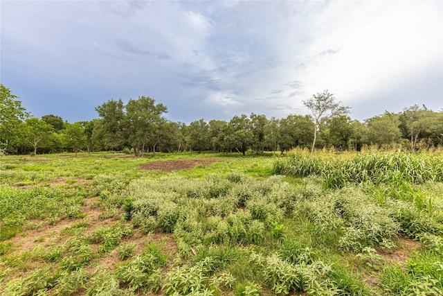 0 Abel Rd, New Ulm, TX 78950 - photo 7