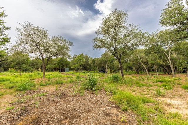 0 Abel Rd, New Ulm, TX 78950 - photo 8