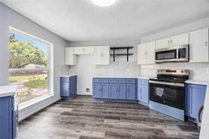19314 Cypress Arbor Ct, Katy, TX 77449 - kitchen with appliances with stainless steel finishes, white cabinets, dark wood finished floors, blue cabinetry, and light countertops