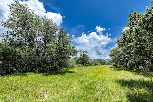 000 County Road 15aa, Hallettsville, TX 77964 - photo 5