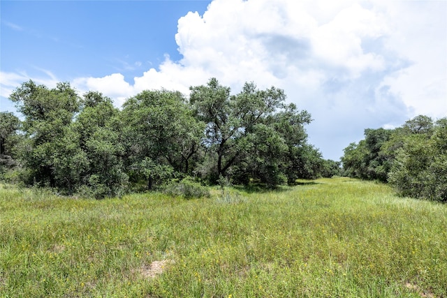 000 County Road 15aa, Hallettsville, TX 77964 - photo 6