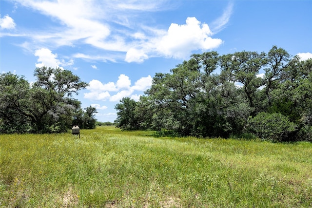 000 County Road 15aa, Hallettsville, TX 77964 - photo 8