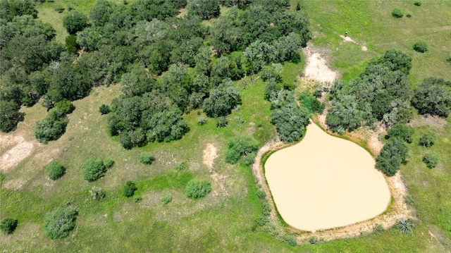 000 County Road 15aa, Hallettsville, TX 77964 - photo 17