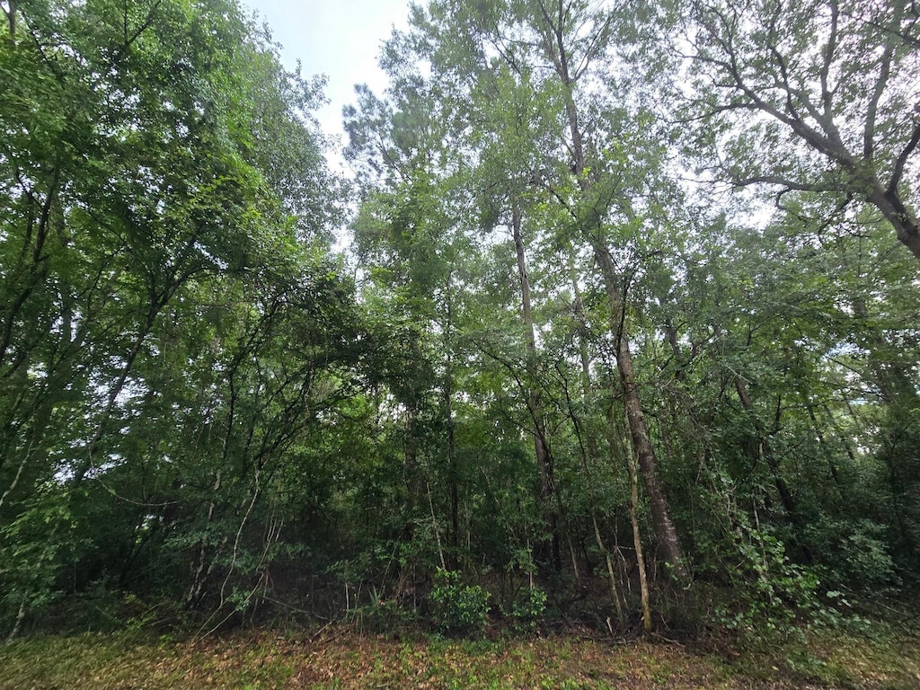 0 County Road 377, Cleveland, TX 77327 - photo 1