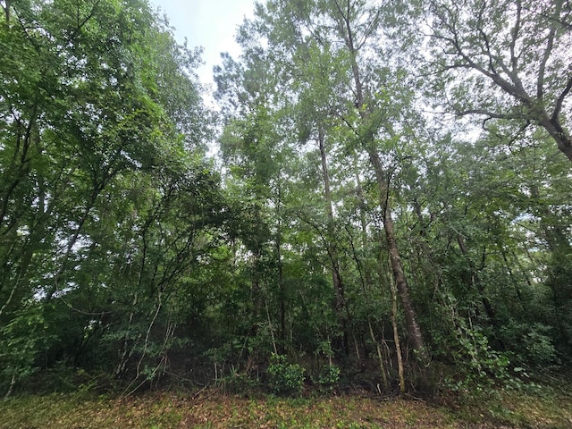 0 County Road 377, Cleveland, TX 77327 - photo 1
