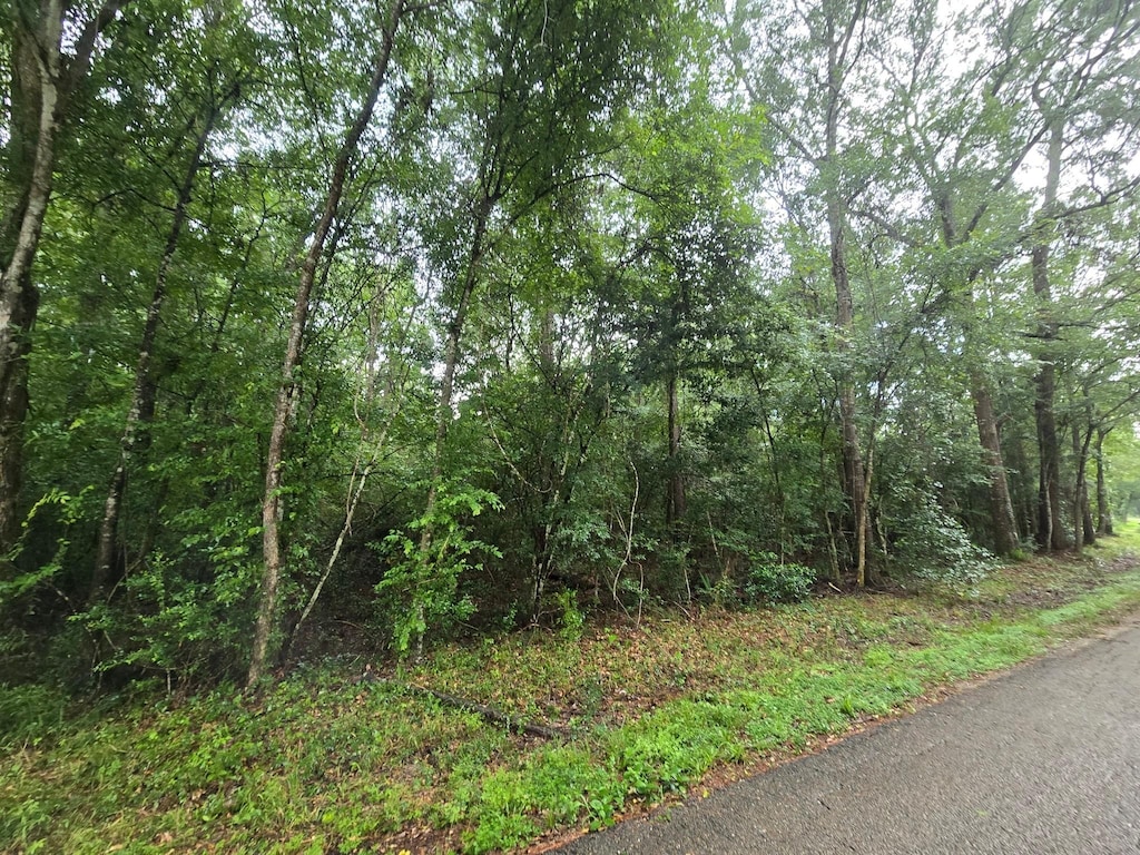 0 County Road 377, Cleveland, TX 77327 - photo 2