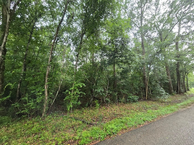 0 County Road 377, Cleveland, TX 77327 - photo 2