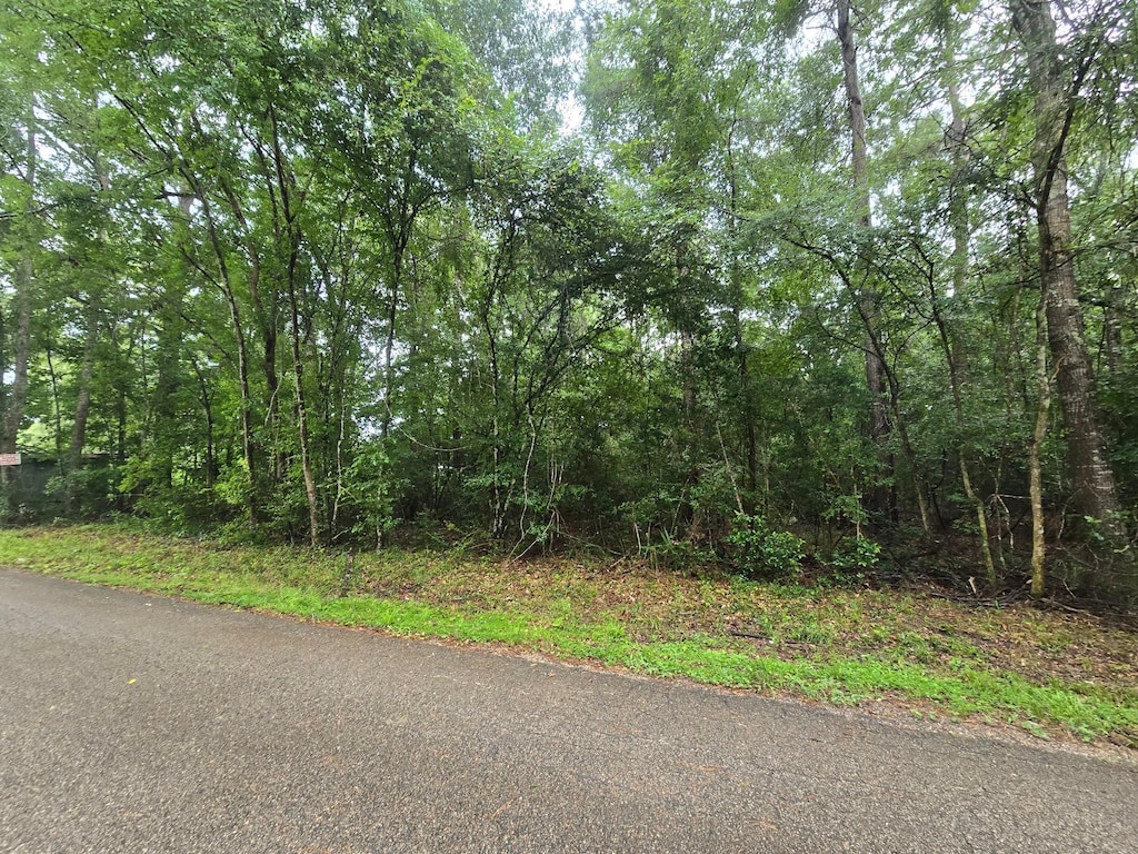 0 County Road 377, Cleveland, TX 77327 - photo 3