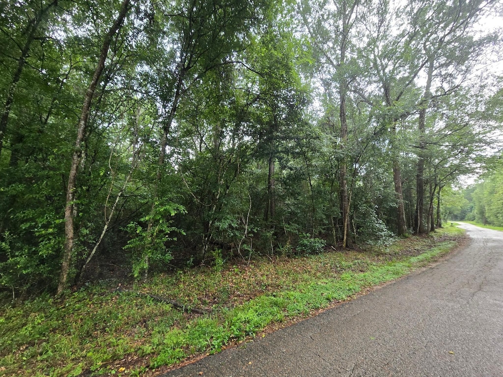 0 County Road 377, Cleveland, TX 77327 - photo 4