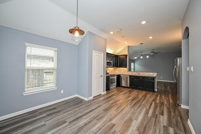 23014 Indigo Prairie Ln, Katy, TX 77493 - kitchen featuring appliances with stainless steel finishes, a peninsula, lofted ceiling, dark wood finished floors, and light countertops