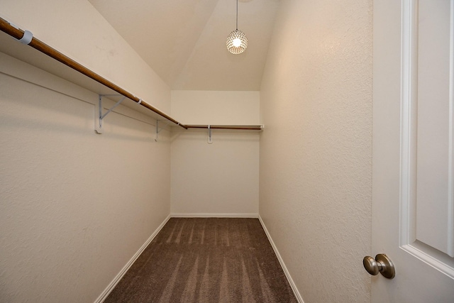 23014 Indigo Prairie Ln, Katy, TX 77493 - walk in closet with dark colored carpet