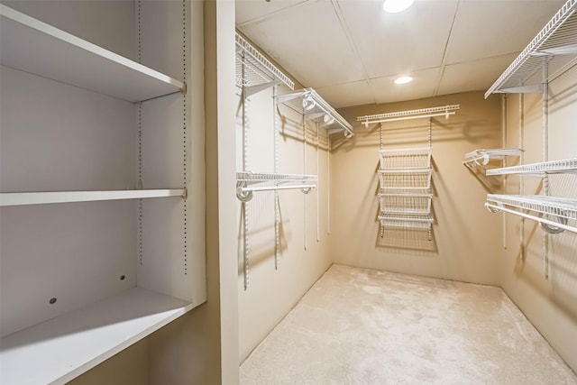 15 Greenway Plz Unit 5C, Houston, TX 77046 - spacious closet with carpet flooring