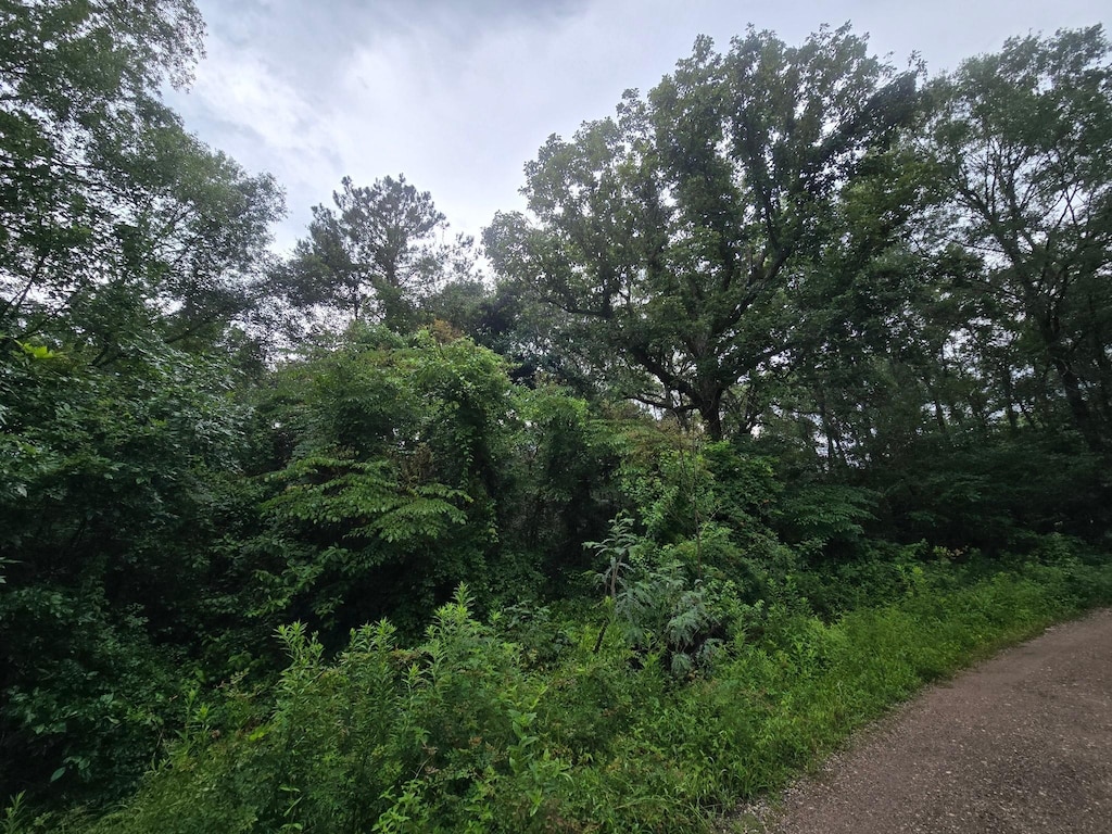 0 Rd 3774, Cleveland, TX 77327 - photo 1