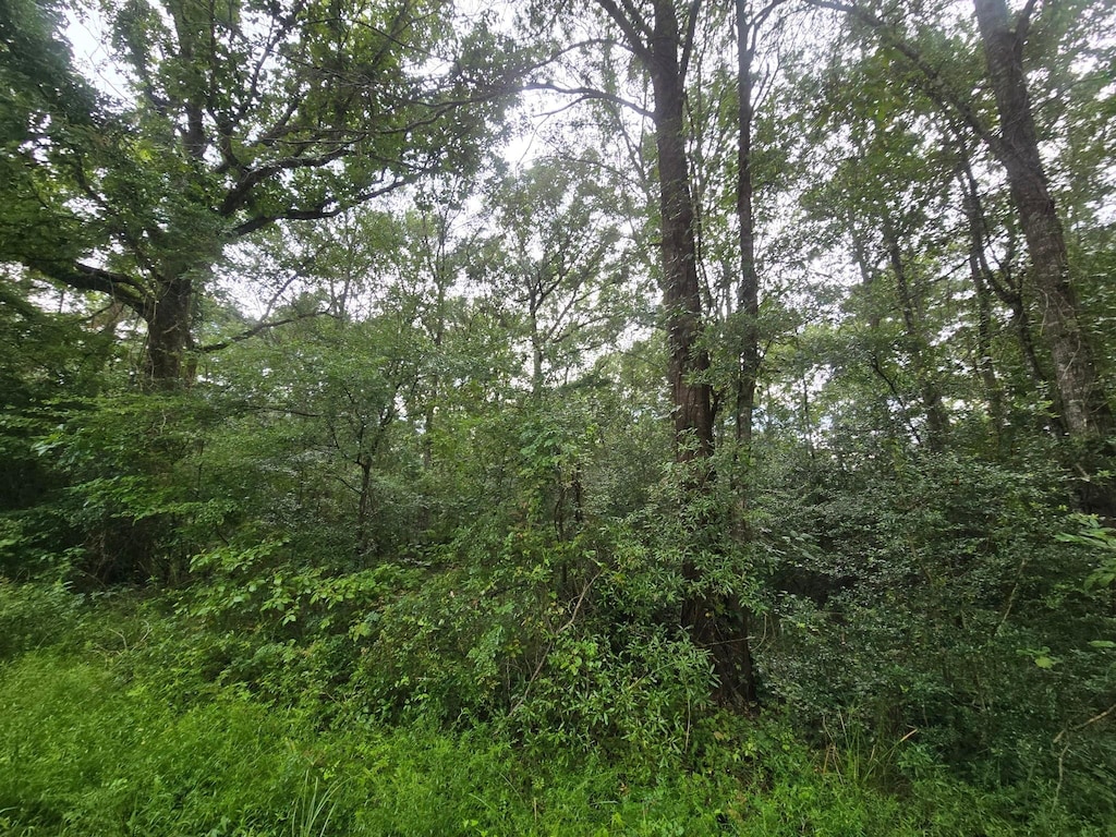 0 Rd 3774, Cleveland, TX 77327 - photo 2