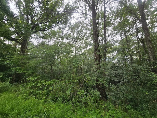 0 Rd 3774, Cleveland, TX 77327 - photo 2
