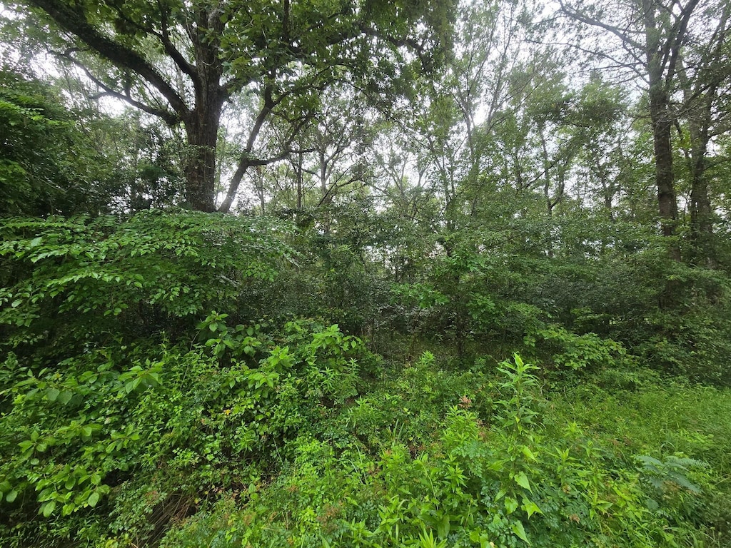 0 Rd 3774, Cleveland, TX 77327 - photo 3