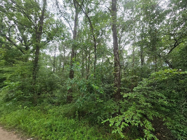 0 Rd 3774, Cleveland, TX 77327 - photo 4