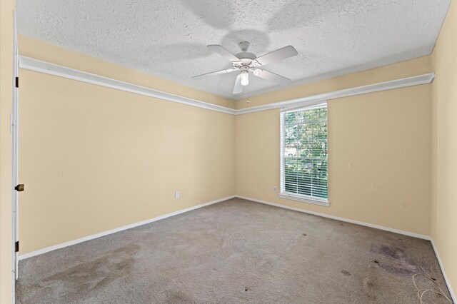 13502 Knottinghill Dr, Sugar Land, TX 77498 - photo 25